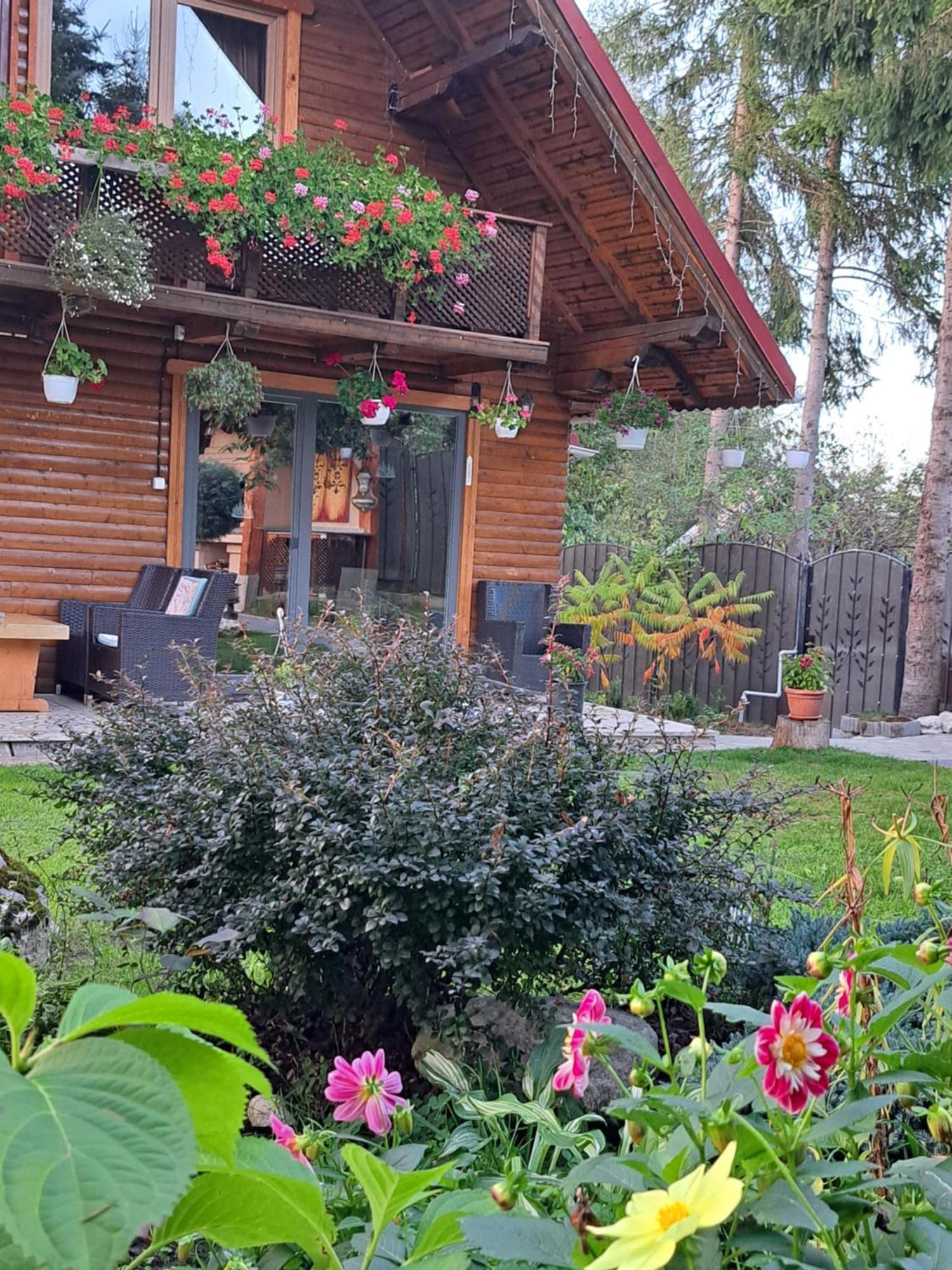 Mistic Holiday home Bran (Brasov)